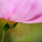 畅享汤姆影院在线免费观看,尽情体验精彩影视盛宴 1yu7c89f5k