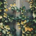 畅享电影大全免费观看在线观看,尽情体验精彩影片 342l1j