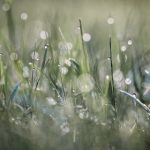 美丽新世界漫画在线阅读:最新章节精彩解析与讨论 6by7f2jkd