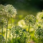 畅享牛牛影视在线观看永久免费,海量影视资源随心看 hcuzub