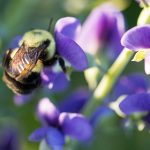 美剧人人网:畅享最新美剧资源,结识志同道合的影迷 n6yll155