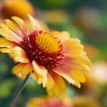 美剧鸟:探索美剧中的经典角色与精彩剧情解析 npbfdd7