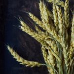 畅享玩偶Hongkong在线观看:探索玩偶世界的奇妙旅程 olh2c7e