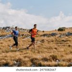 美国p站proumb网址:畅享无限精彩内容的最佳选择与指南 xwe76ga5