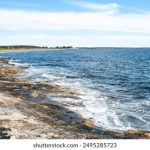 畅享汤姆私人影院:在线观看免费观看的最佳选择 zoand